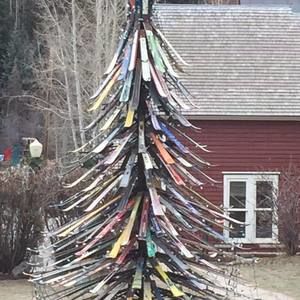 Meet your Posher, Joyce